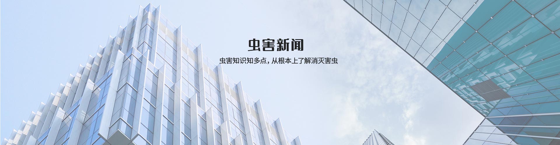 虫害知识