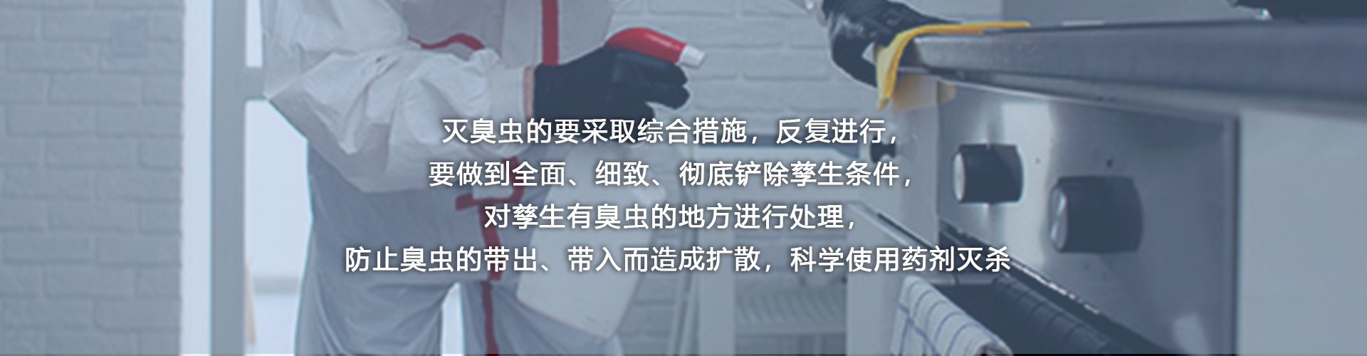 除臭虫