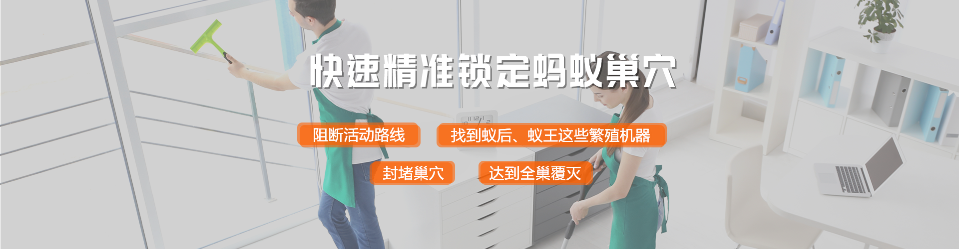 除蚁类