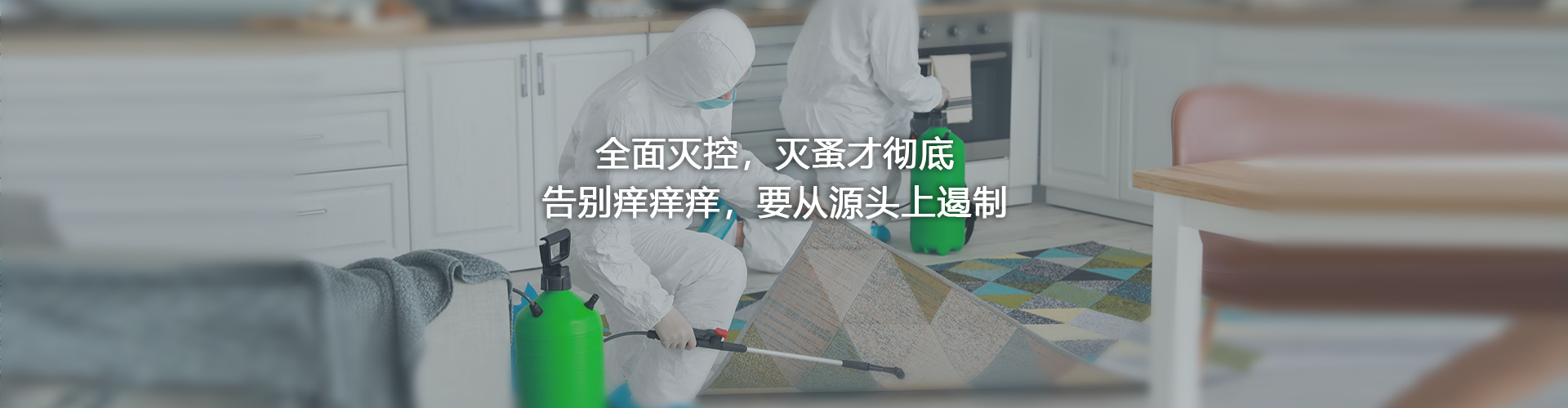 白蚁治理