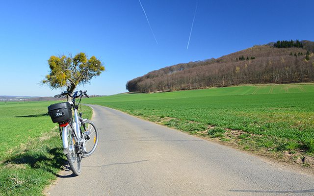 泥土路山地车线